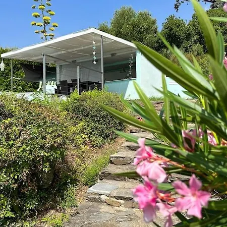 Piscine Et Maquis