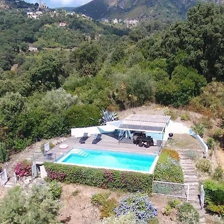 Piscine Et Maquis *